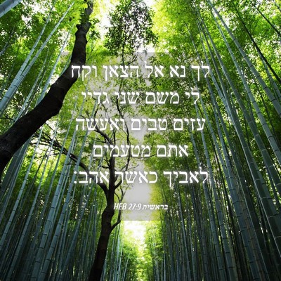 Picture 04 - בראשית 27:9 HEB - לך נא אל הצאן וקח לי משם שני - Bible Verse Picture