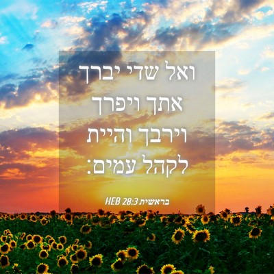 Picture 04 - בראשית 28:3 HEB - ואל שדי יברך אתך ויפרך - Bible Verse Picture