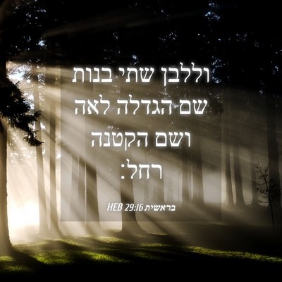 Picture 04 - בראשית 29:16 HEB - וללבן שתי בנות שם הגדלה לאה - Bible Verse Picture