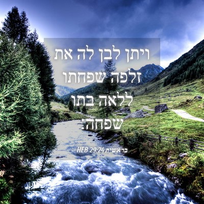 Picture 04 - בראשית 29:24 HEB - ויתן לבן לה את זלפה שפחתו - Bible Verse Picture
