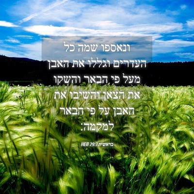 Picture 04 - בראשית 29:3 HEB - ונאספו שמה כל העדרים וגללו - Bible Verse Picture