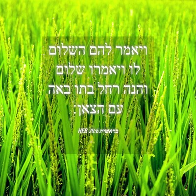 Picture 04 - בראשית 29:6 HEB - ויאמר להם השלום לו ויאמרו - Bible Verse Picture