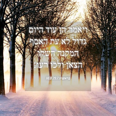 Picture 04 - בראשית 29:7 HEB - ויאמר הן עוד היום גדול לא - Bible Verse Picture