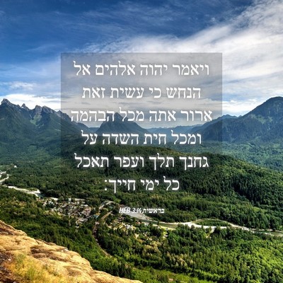 Picture 04 - בראשית 3:14 HEB - ויאמר יהוה אלהים אל הנחש כי - Bible Verse Picture