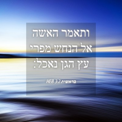 Picture 04 - בראשית 3:2 HEB - ותאמר האשה אל הנחש מפרי עץ - Bible Verse Picture