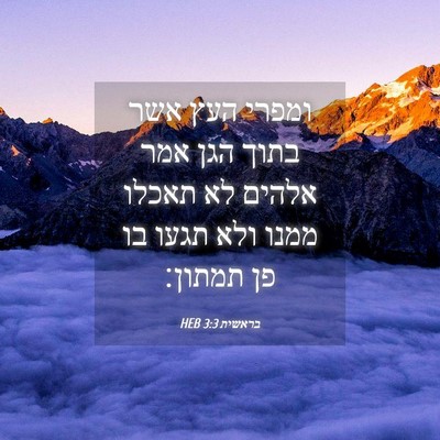 Picture 04 - בראשית 3:3 HEB - ומפרי העץ אשר בתוך הגן אמר - Bible Verse Picture