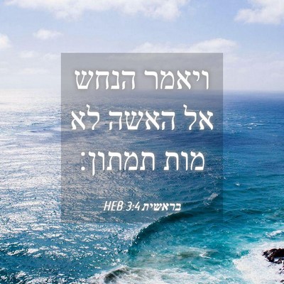Picture 04 - בראשית 3:4 HEB - ויאמר הנחש אל האשה לא מות - Bible Verse Picture