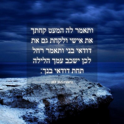 Picture 04 - בראשית 30:15 HEB - ותאמר לה המעט קחתך את אישי - Bible Verse Picture