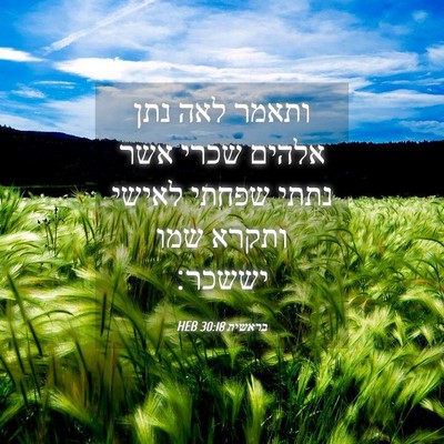 Picture 04 - בראשית 30:18 HEB - ותאמר לאה נתן אלהים שכרי - Bible Verse Picture