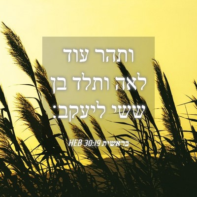 Picture 04 - בראשית 30:19 HEB - ותהר עוד לאה ותלד בן ששי - Bible Verse Picture