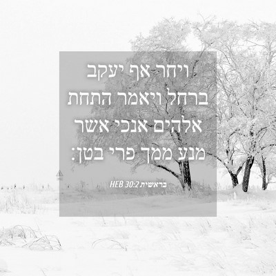 Picture 04 - בראשית 30:2 HEB - ויחר אף יעקב ברחל ויאמר - Bible Verse Picture