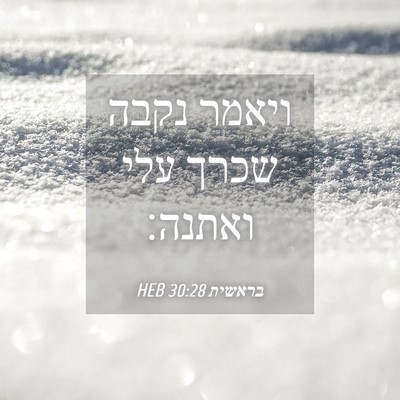 Picture 04 - בראשית 30:28 HEB - ויאמר נקבה שכרך עלי - Bible Verse Picture