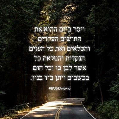 Picture 04 - בראשית 30:35 HEB - ויסר ביום ההוא את התישים - Bible Verse Picture