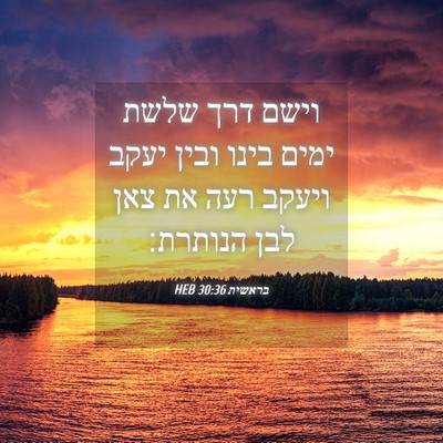 Picture 04 - בראשית 30:36 HEB - וישם דרך שלשת ימים בינו - Bible Verse Picture