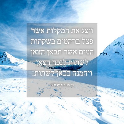 Picture 04 - בראשית 30:38 HEB - ויצג את המקלות אשר פצל - Bible Verse Picture