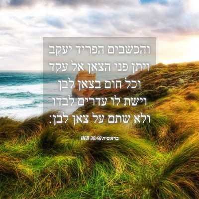 Picture 04 - בראשית 30:40 HEB - והכשבים הפריד יעקב ויתן - Bible Verse Picture