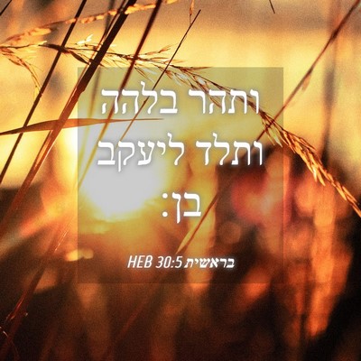Picture 04 - בראשית 30:5 HEB - ותהר בלהה ותלד ליעקב - Bible Verse Picture
