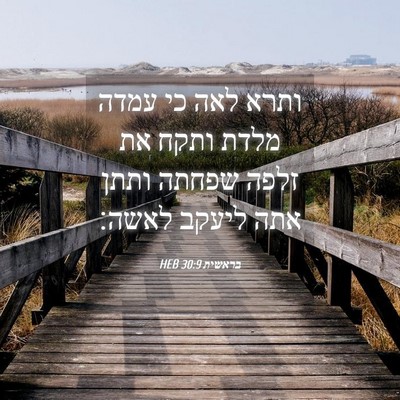 Picture 04 - בראשית 30:9 HEB - ותרא לאה כי עמדה מלדת ותקח - Bible Verse Picture