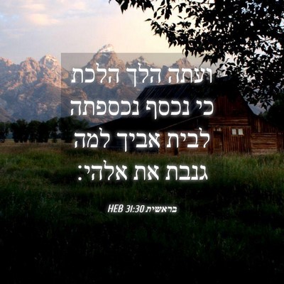 Picture 04 - בראשית 31:30 HEB - ועתה הלך הלכת כי נכסף - Bible Verse Picture