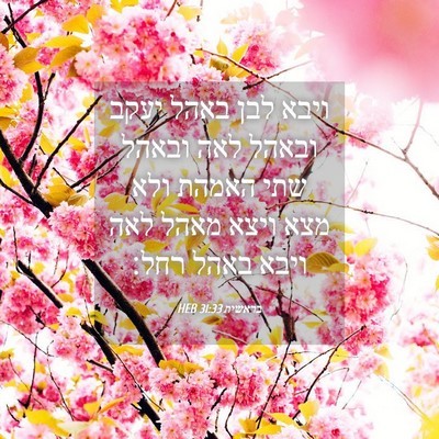 Picture 04 - בראשית 31:33 HEB - ויבא לבן באהל יעקב ובאהל - Bible Verse Picture