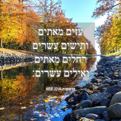 Picture 04 - בראשית 32:14 HEB - עזים מאתים ותישים עשרים - Bible Verse Picture