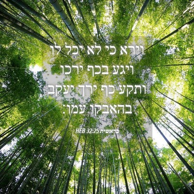 Picture 04 - בראשית 32:25 HEB - וירא כי לא יכל לו ויגע בכף - Bible Verse Picture