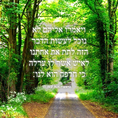 Picture 04 - בראשית 34:14 HEB - ויאמרו אליהם לא נוכל לעשות - Bible Verse Picture