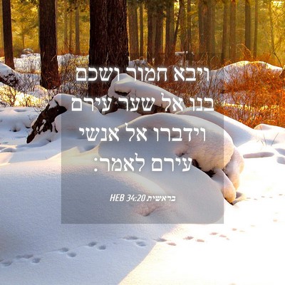 Picture 04 - בראשית 34:20 HEB - ויבא חמור ושכם בנו אל שער - Bible Verse Picture