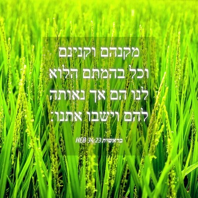 Picture 04 - בראשית 34:23 HEB - מקנהם וקנינם וכל בהמתם - Bible Verse Picture