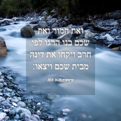 Picture 04 - בראשית 34:26 HEB - ואת חמור ואת שכם בנו הרגו - Bible Verse Picture