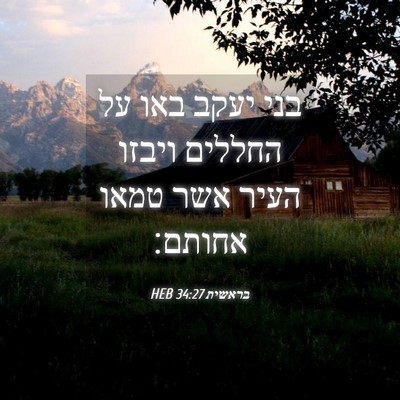 Picture 04 - בראשית 34:27 HEB - בני יעקב באו על החללים - Bible Verse Picture