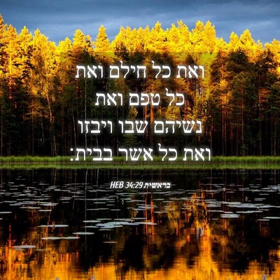 Picture 04 - בראשית 34:29 HEB - ואת כל חילם ואת כל טפם ואת - Bible Verse Picture