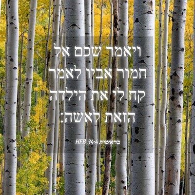 Picture 04 - בראשית 34:4 HEB - ויאמר שכם אל חמור אביו לאמר - Bible Verse Picture