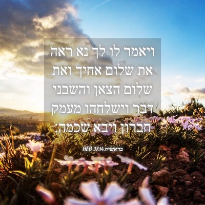 Picture 04 - בראשית 37:14 HEB - ויאמר לו לך נא ראה את שלום - Bible Verse Picture