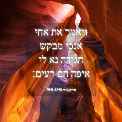 Picture 04 - בראשית 37:16 HEB - ויאמר את אחי אנכי מבקש - Bible Verse Picture