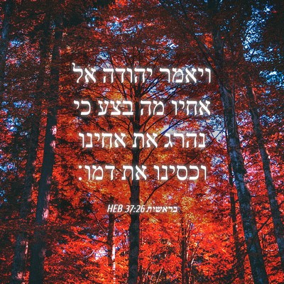 Picture 04 - בראשית 37:26 HEB - ויאמר יהודה אל אחיו מה בצע - Bible Verse Picture