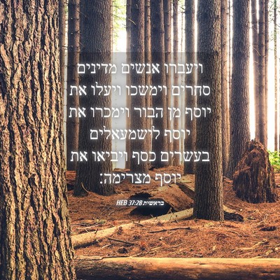 Picture 04 - בראשית 37:28 HEB - ויעברו אנשים מדינים סחרים - Bible Verse Picture
