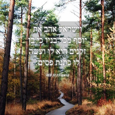 Picture 04 - בראשית 37:3 HEB - וישראל אהב את יוסף מכל בניו - Bible Verse Picture