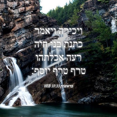 Picture 04 - בראשית 37:33 HEB - ויכירה ויאמר כתנת בני חיה - Bible Verse Picture