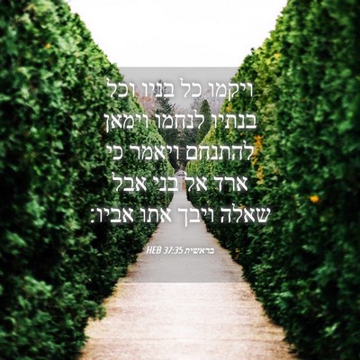 Picture 04 - בראשית 37:35 HEB - ויקמו כל בניו וכל בנתיו - Bible Verse Picture