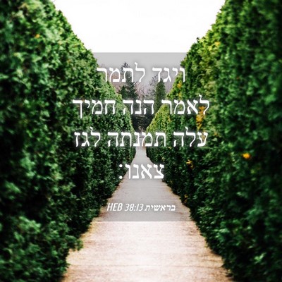 Picture 04 - בראשית 38:13 HEB - ויגד לתמר לאמר הנה חמיך עלה - Bible Verse Picture