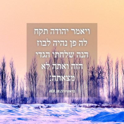 Picture 04 - בראשית 38:23 HEB - ויאמר יהודה תקח לה פן נהיה - Bible Verse Picture