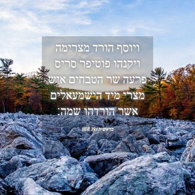 Picture 04 - בראשית 39:1 HEB - ויוסף הורד מצרימה ויקנהו - Bible Verse Picture