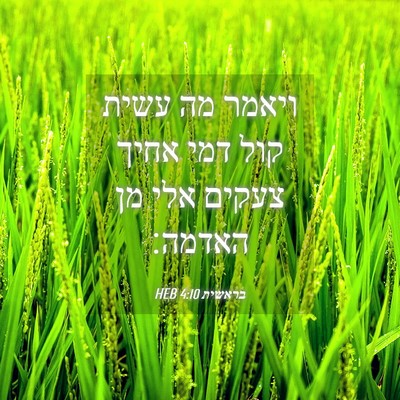 Picture 04 - בראשית 4:10 HEB - ויאמר מה עשית קול דמי אחיך - Bible Verse Picture