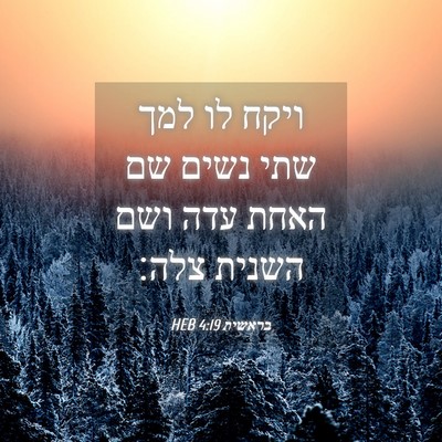 Picture 04 - בראשית 4:19 HEB - ויקח לו למך שתי נשים שם - Bible Verse Picture
