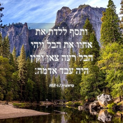 Picture 04 - בראשית 4:2 HEB - ותסף ללדת את אחיו את הבל - Bible Verse Picture