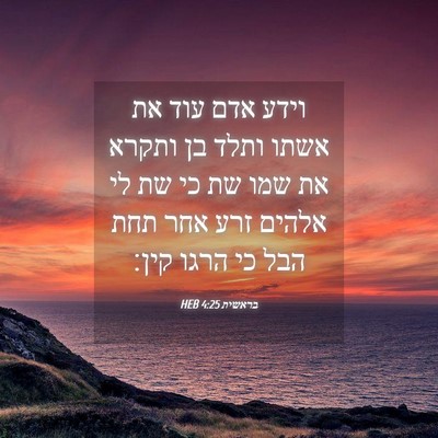 Picture 04 - בראשית 4:25 HEB - וידע אדם עוד את אשתו ותלד - Bible Verse Picture