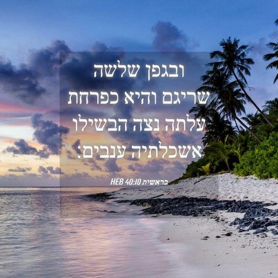 Picture 04 - בראשית 40:10 HEB - ובגפן שלשה שריגם והיא - Bible Verse Picture