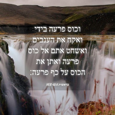 Picture 04 - בראשית 40:11 HEB - וכוס פרעה בידי ואקח את - Bible Verse Picture