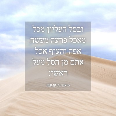 Picture 04 - בראשית 40:17 HEB - ובסל העליון מכל מאכל פרעה - Bible Verse Picture